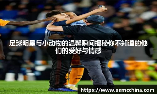 南宫ng28官方网站